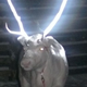 Illustration for article titled Why Herders in Finland Spray Reindeers Horns with Reflective Coating